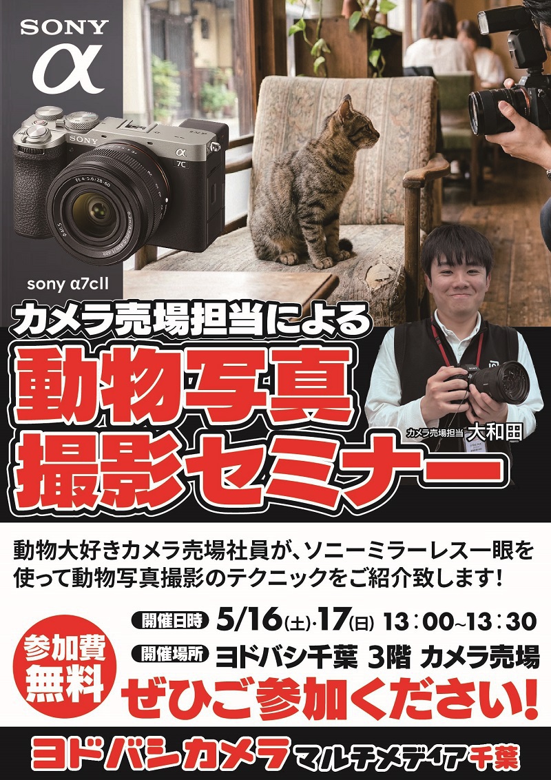 動物撮影のコツ学べます📷 ＼ ソニー「α7C II」で 動物をかわいく撮る