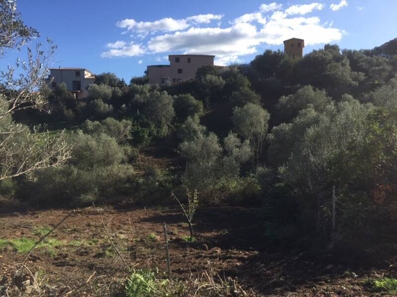 soloterreni's tweet photo. SARDEGNA - San Teodoro (SS) : Terreno agricolo San Teodoro https://t.co/gAfmxHIrzs https://t.co/bmHa7bjFib