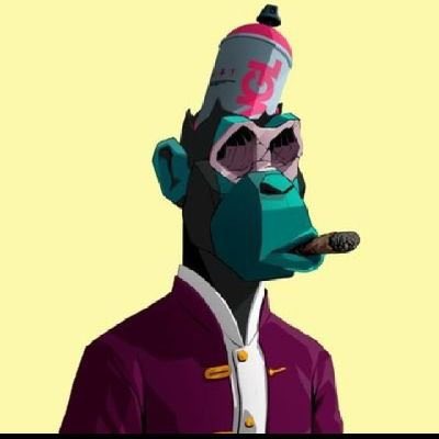Timonkizz_CEO tweet media