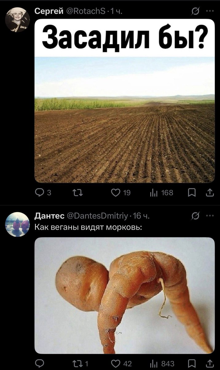 Да/нет?