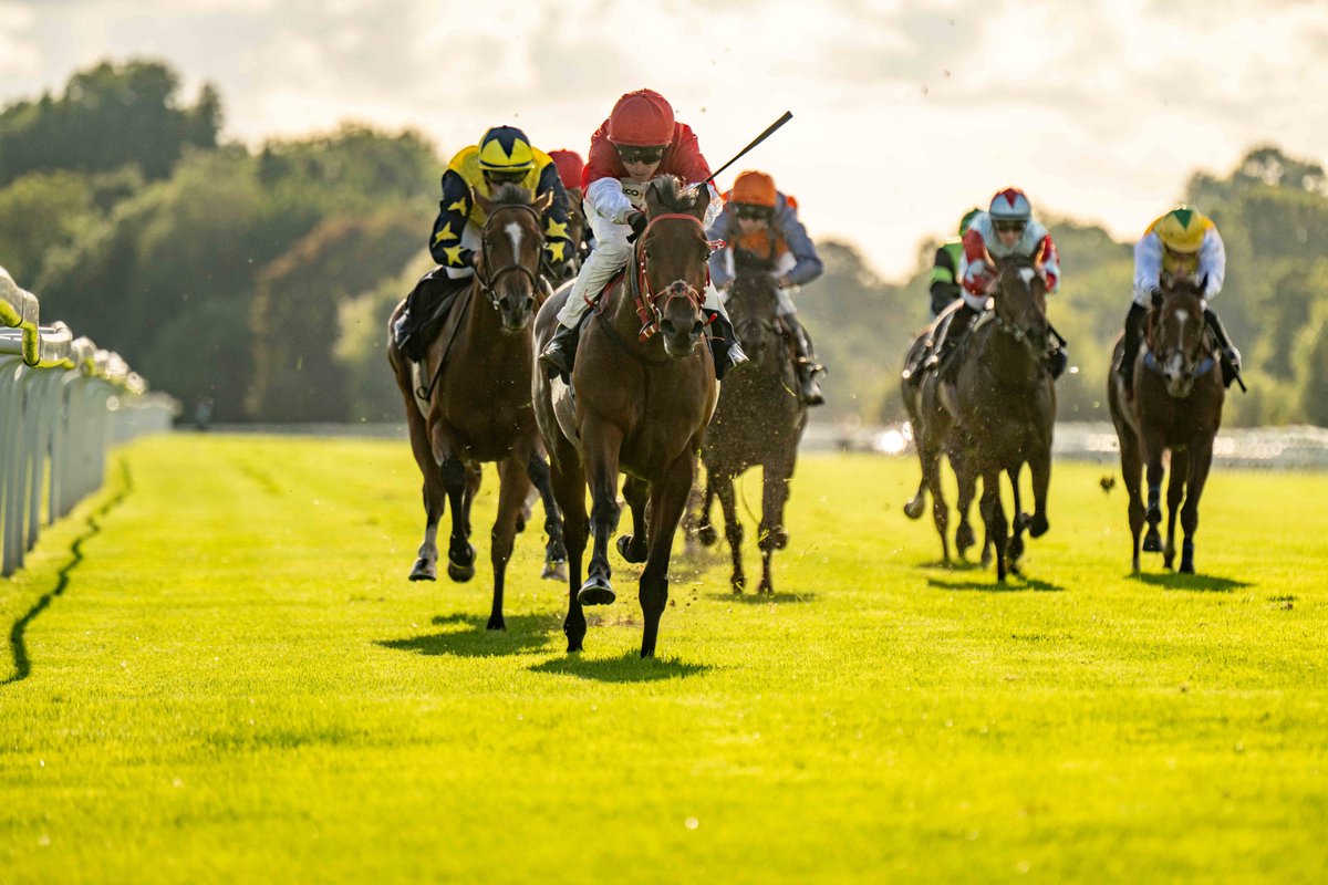 Windsor Racecourse tweet media