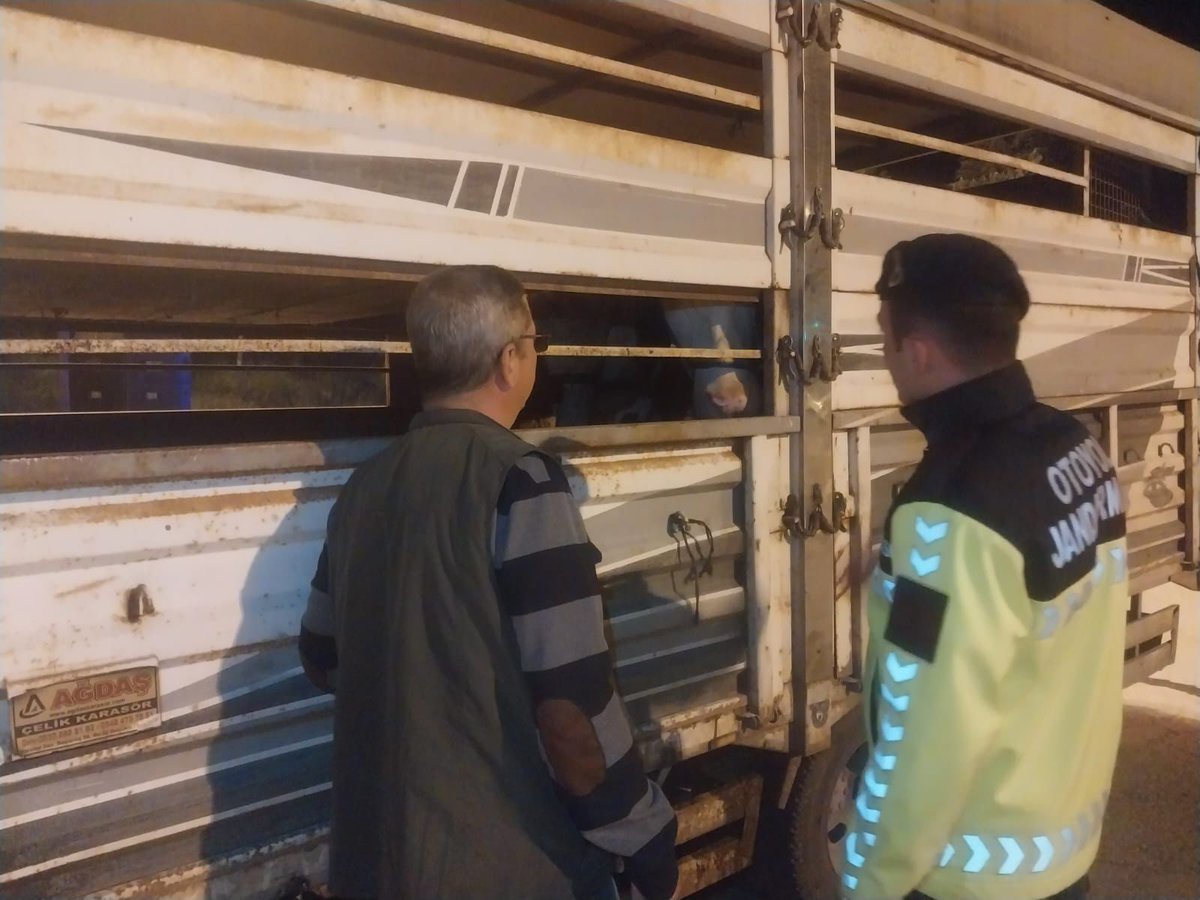 EdirneTrm's tweet photo. 📍İlimiz Havsa ilçesinde, İlçe Tarım ve Orman Müdürlüğü ekipleri ile jandarma personeli tarafından gerçekleştirilen yol kontrol uygulamasında, belgesiz ve veteriner sağlık raporu bulunmayan 2 adet büyükbaş  🐄hayvan tespit edildi.👇
https://t.co/LzKhTfq4OE https://t.co/4Rd11TyCvy