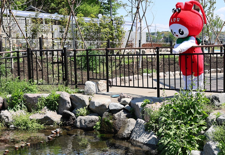 海老名市えび~にゃ🍓【公式】 tweet media