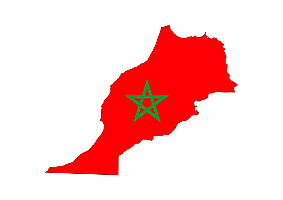 عزيز _🇩🇿 AZIZ tweet media