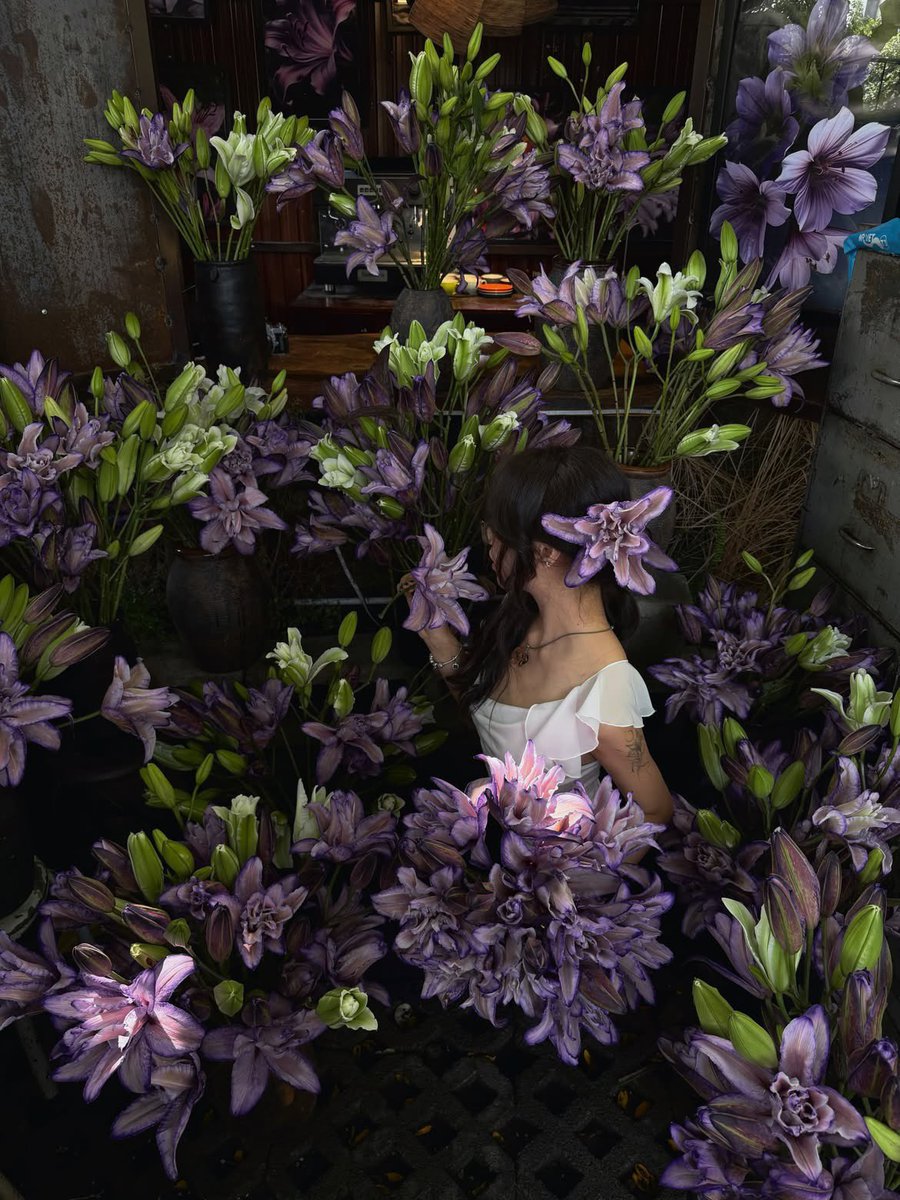 seraphicxc's tweet photo. Purple lilies https://t.co/okIQ7bGdNV