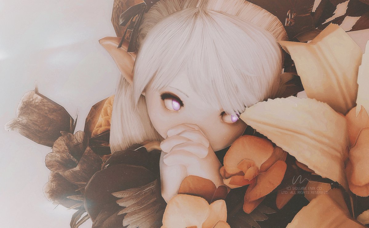 sssuiiif's tweet photo. 036”┊祈りという名の。 https://t.co/OIcyQudpXm