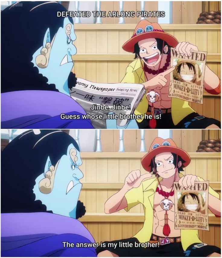 One Piece Daily tweet media