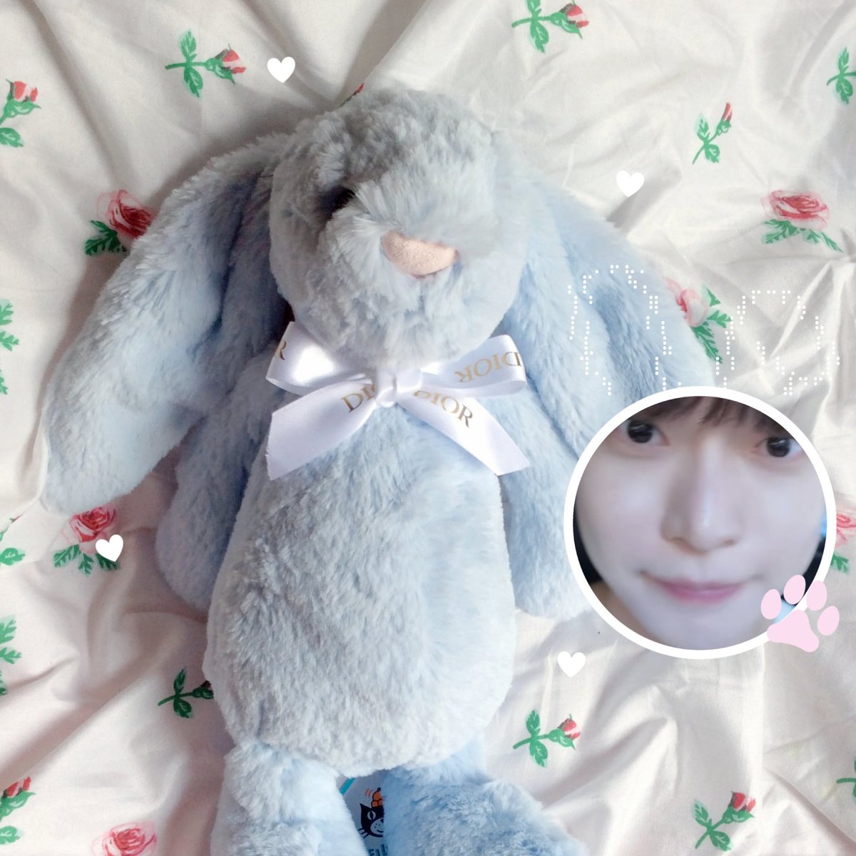 mababiebunny's tweet photo. ˚₊‧꒰ა₍^ིྀᐢ.  ̫.ᐢ₎♡໒꒱ ‧₊˚ https://t.co/fKh90NOv4x