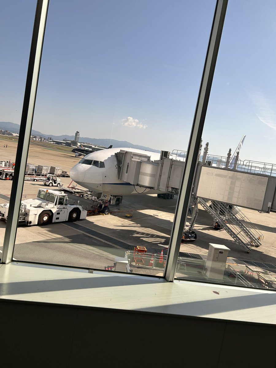 ryu3303's tweet photo. なうぼ
All Nippon Airways
B777-281(ER)  JA742A
NH260
Fukuoka(FUK)→Tokyo(HND)

遅めのGWを福岡で過ごし帰ります。
従兄弟の結婚式と祖父母と温泉地でゆっくり過ごしました。明後日からまた仕事頑張ろう。また来るとよ〜 https://t.co/BikKwCIlPR