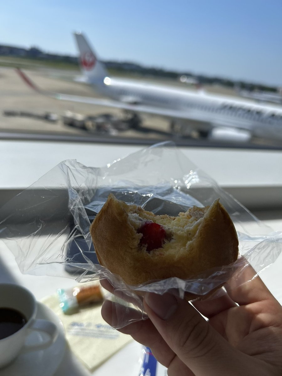ryu3303's tweet photo. なうぼ
All Nippon Airways
B777-281(ER)  JA742A
NH260
Fukuoka(FUK)→Tokyo(HND)

遅めのGWを福岡で過ごし帰ります。
従兄弟の結婚式と祖父母と温泉地でゆっくり過ごしました。明後日からまた仕事頑張ろう。また来るとよ〜 https://t.co/BikKwCIlPR