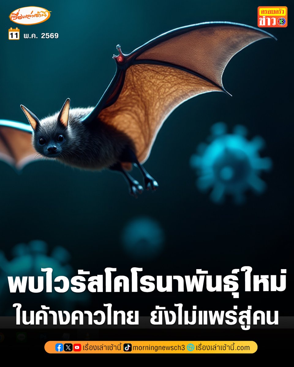 เรื่องเล่าเช้านี้ tweet media