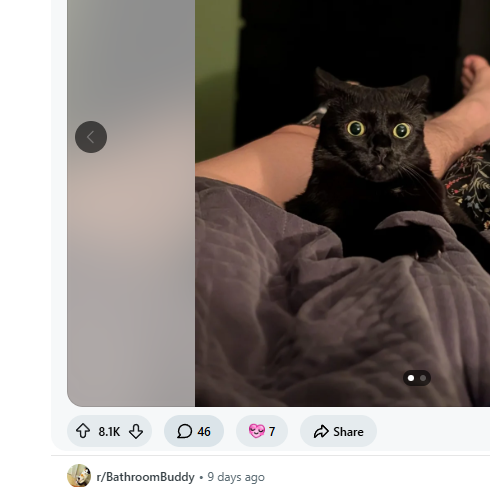 Clip tweet media