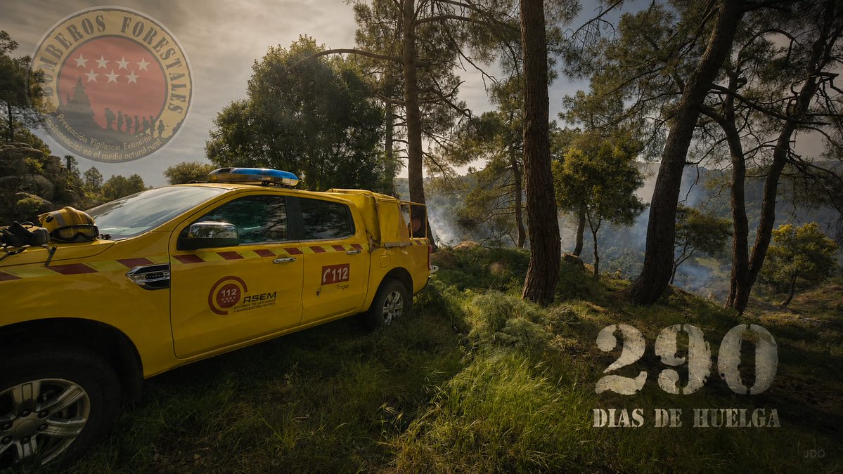 Winz@ 🚒🌲 tweet media