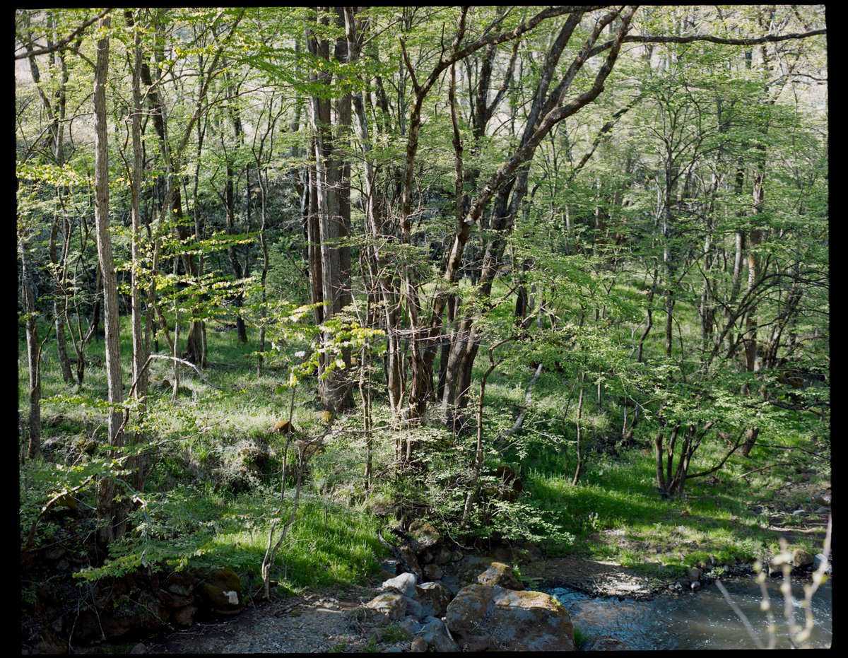 Pentax67 Nagano #ナツラボ
