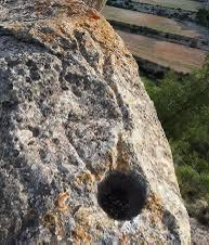 LlegendariVal's tweet photo. El Cantalar sempre havia sigut considerada una muntanya especial, envoltada d’un misteri antic que els habitants de la Foia de Castalla respectaven des de temps immemorials. No destacava per la seua altura, sinó per l’energia i el simbolisme que amagaven les seues roques. Per als antics pobladors, aquella serra era una muntanya màgica, un espai sagrat que unia la terra amb el cel, un autèntic centre espiritual on els humans podien comunicar-se amb les forces de la natura i amb els avantpassats.

Els camins del Cantalar conduïen fins a diversos altars rupestres excavats directament sobre la pedra. Les seues cassoletes i canals no havien sigut fetes a l’atzar. Cada forma, cada orientació i cada detall semblaven respondre a un coneixement antic relacionat amb el moviment dels astres. Els savis de la muntanya observaven el firmament i coneixien les estreles, el recorregut del Sol i els cicles de la Lluna. Algunes cassoletes apareixien alineades amb constel·lacions com l’Escorpí i l’Ossa Menor, convertint El Cantalar en una mena d’observatori astronòmic i calendari sagrat.

Durant els solsticis i els equinoccis, la muntanya adquiria encara més importància. Els primers rajos del Sol travessaven les roques i il·luminaven exactament determinades cassoletes i canals, mentre que en certes nits la Lluna apareixia alineada amb alguns dels altars principals. Aquells fenòmens eren interpretats com senyals divins. Els antics habitants es reunien aleshores per celebrar rituals, demanar fertilitat per als camps, protecció per al poble i pluja per a superar les sequeres. El cel i la pedra quedaven units en un mateix llenguatge sagrat.

Entre tots els altars destacava la coneguda Taula de Sacrificis. La gran roca, amb dues cassoletes redones i una cavitat rectangular, també esta el vas del bronce i l’altar de la lluna. Allí es dipositaven ofrenes de cereals, oli, vi o sang d’animals sacrificats. Els líquids descendien lentament pels canals excavats, com si la mateixa muntanya absorvira les pregàries dels humans.

La nit transformava El Cantalar en un lloc encara més impressionant. Quan el Sol desapareixia darrere de la Penya del Migjorn i les estreles començaven a aparéixer, el silenci cobria els altars i les roques. L’Escorpí brillava sobre l’horitzó i l’Ossa Major marcava el nord etern, tal com ho havia fet durant milers d’anys. En aquell instant, la muntanya deixava de ser només pedra i paisatge per convertir-se en un pont entre mons, un temple viu on el temps, la natura i el cosmos es trobaven en perfecta harmonia.