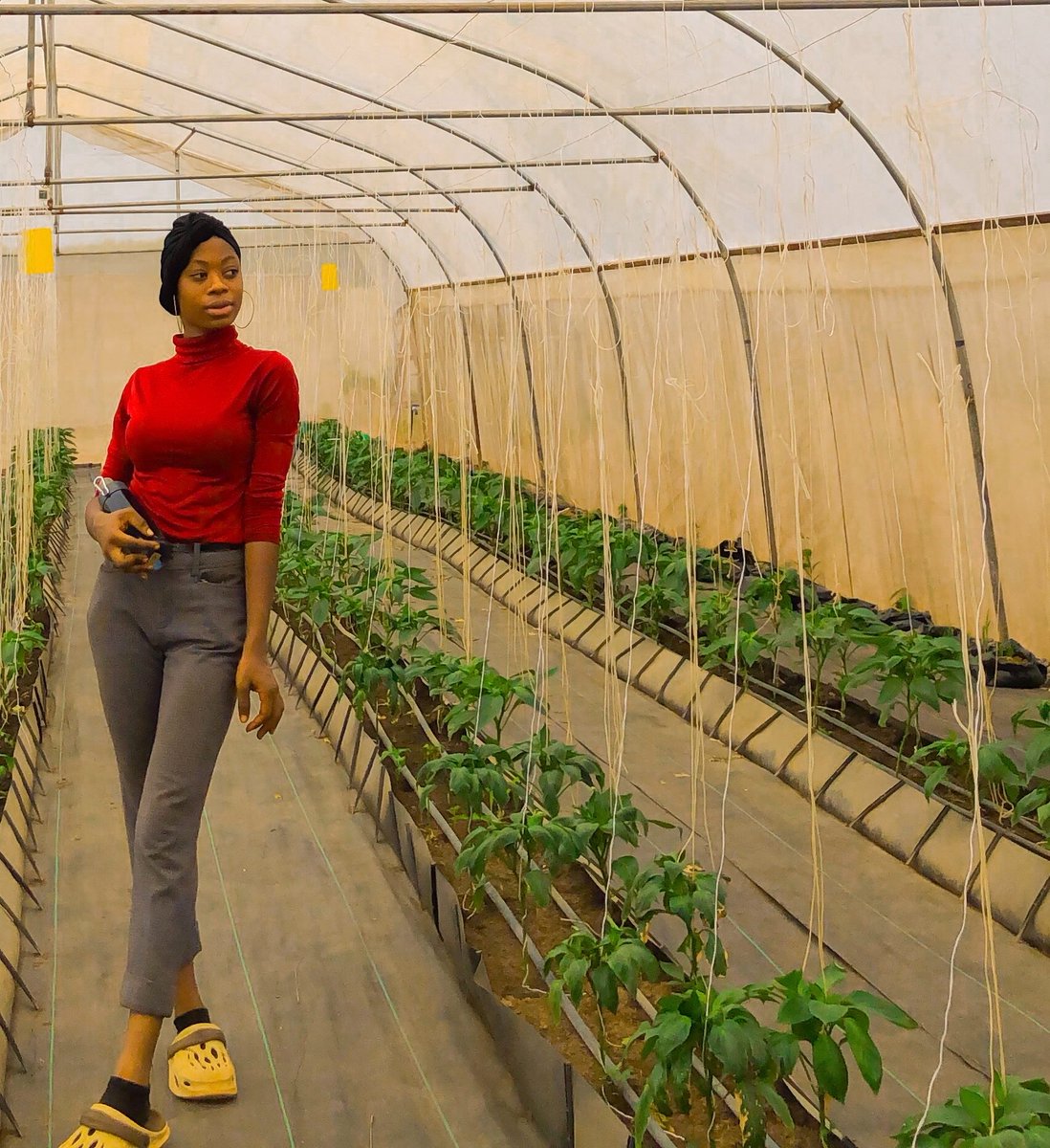 bhelkys's tweet photo. Hello there,
Happy Monday.

It's another week to prioritize productivity over being busy.

Happy New Week, Farmily 💚
Wishing you a productive week ahead.

#agrictechsis https://t.co/2za0cpjYxE
