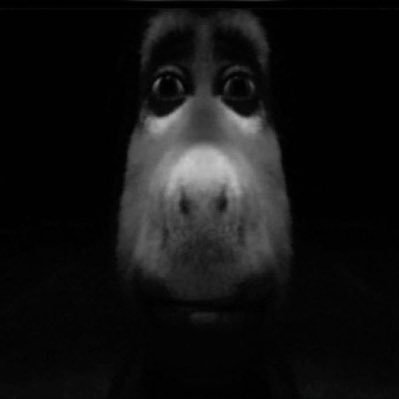 JonasAdryaens's tweet photo. life's a high-stakes game of cat and mouse with your own reflection When you finally catch up, who wins? https://t.co/lJtqCokxPE