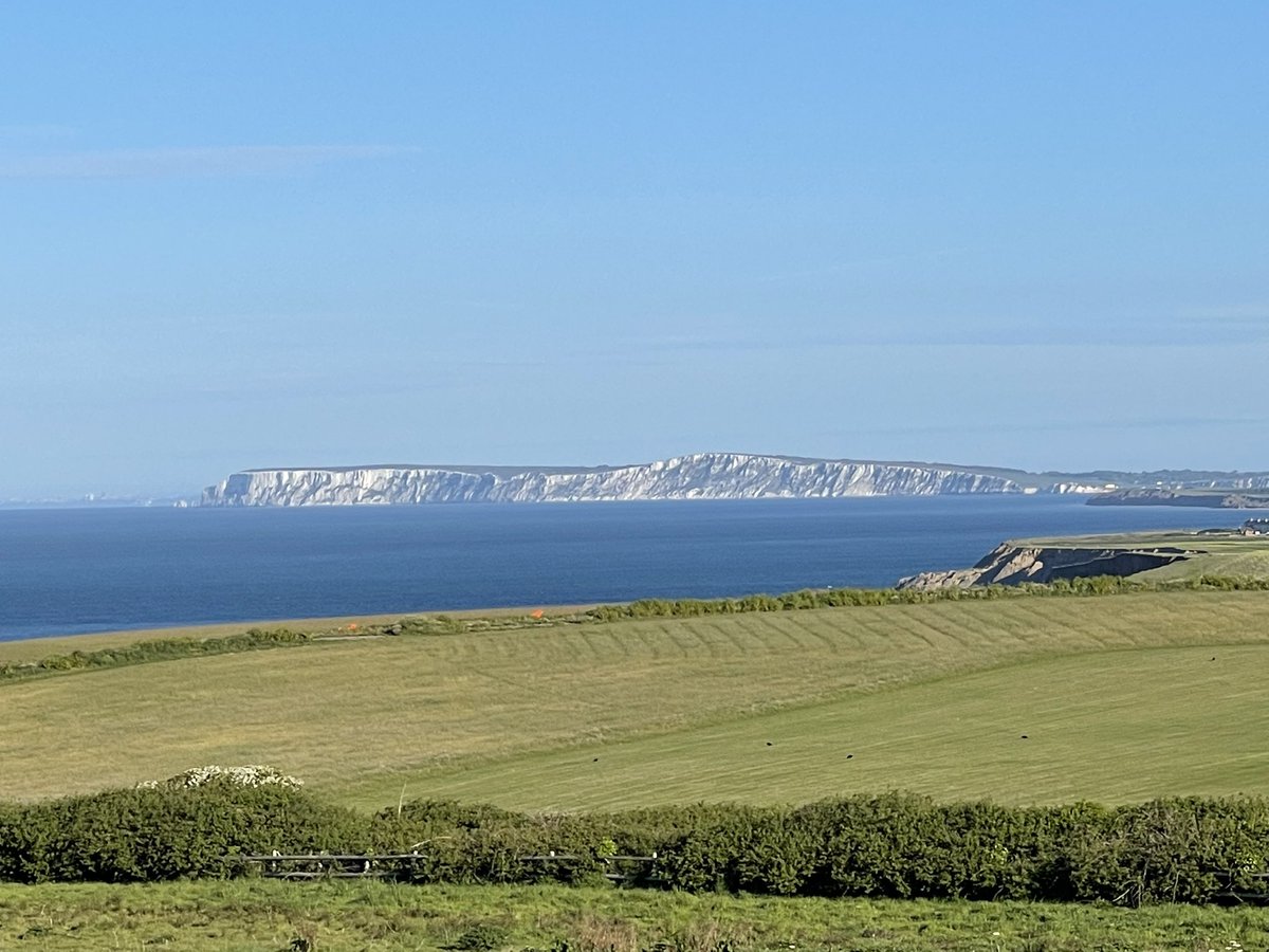 Chale Bay Farm tweet media