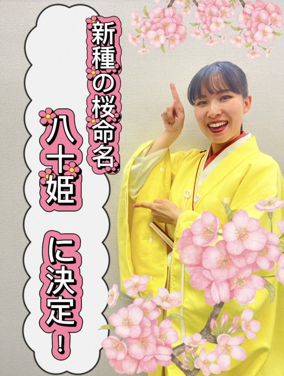 熊本城おもてなし武将隊【公式】 tweet media