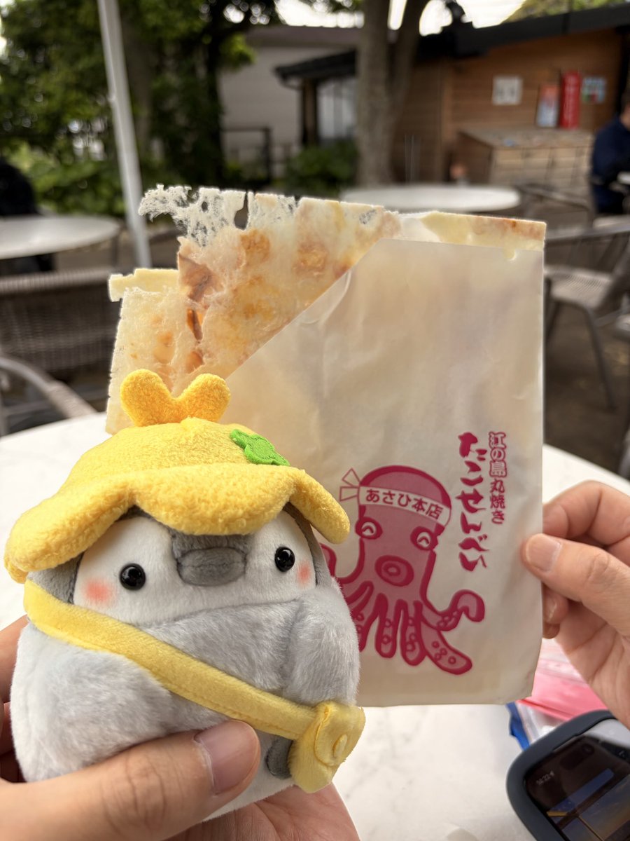 MottyMellow's tweet photo. @k_r_r_l_l_ こんにちは！！
よくコウペンちゃんにお出かけついてきてもらっています！
これからもよろしくね〜🍀 https://t.co/EDP5Pw8arH