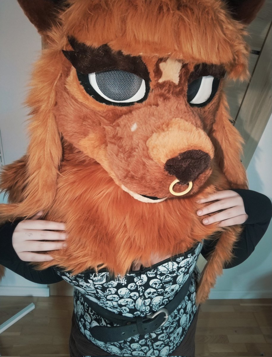 Rilka 🦊 tweet media