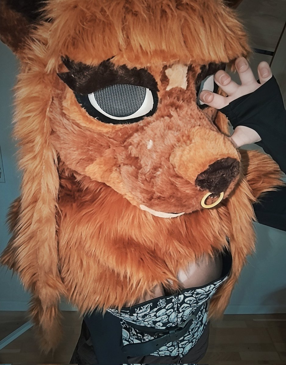 Rilka 🦊 tweet media