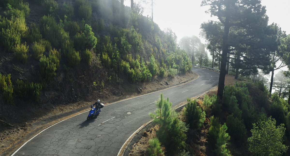 Visitlapalma_de tweet media