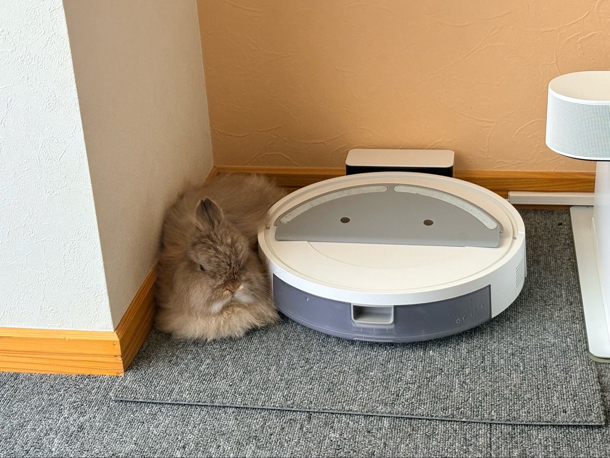 ルンバと一緒に収納されてるうさこさん