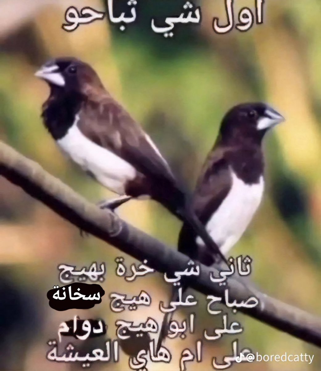 KKK || العشوائي tweet media