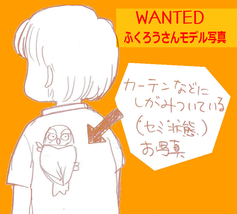 Ko-chan's tweet media