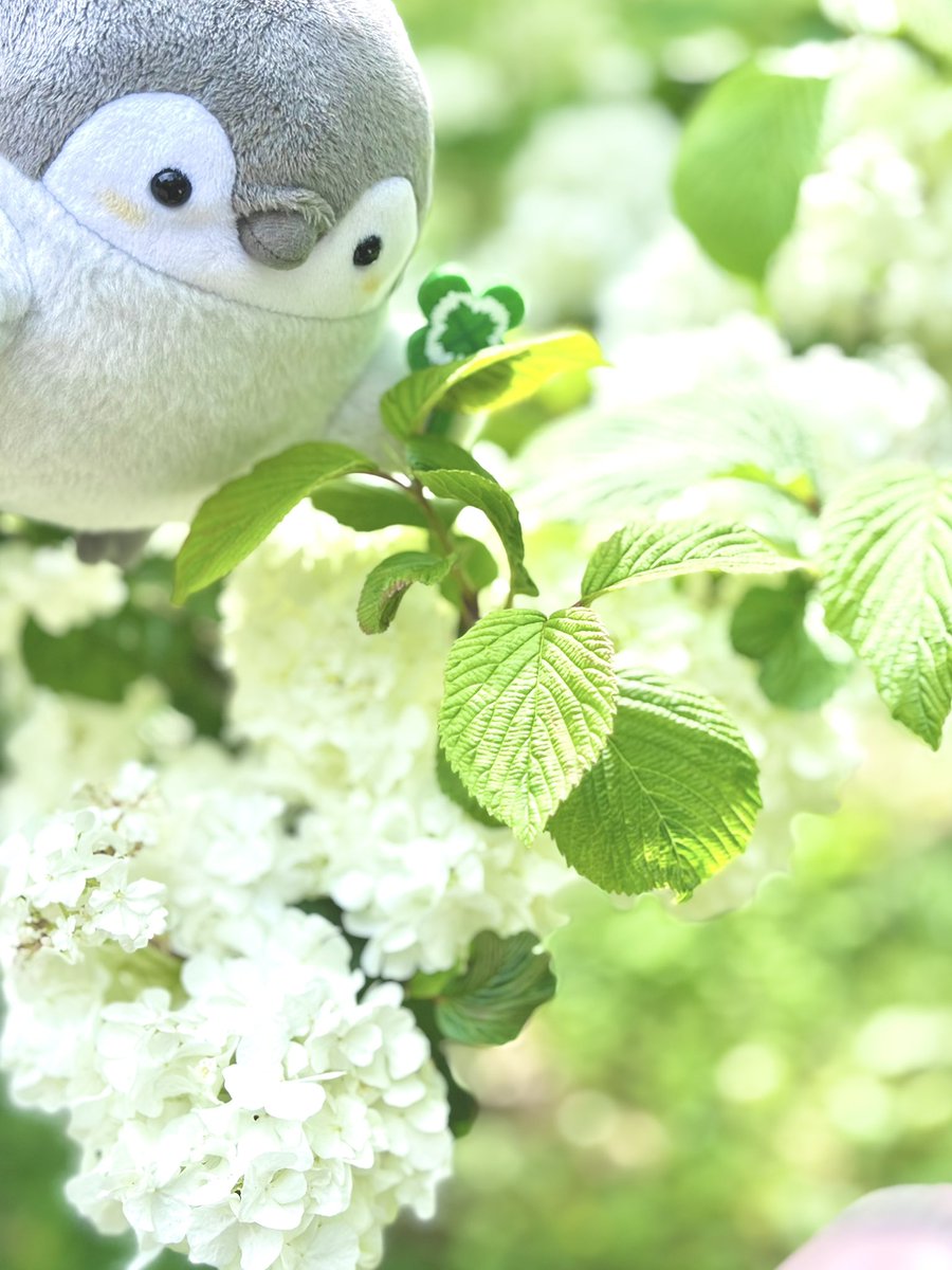かとえみ tweet media