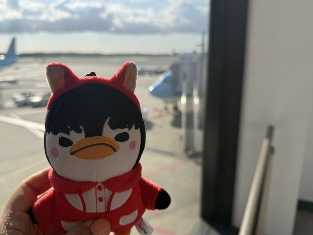 다람쥐 tweet media