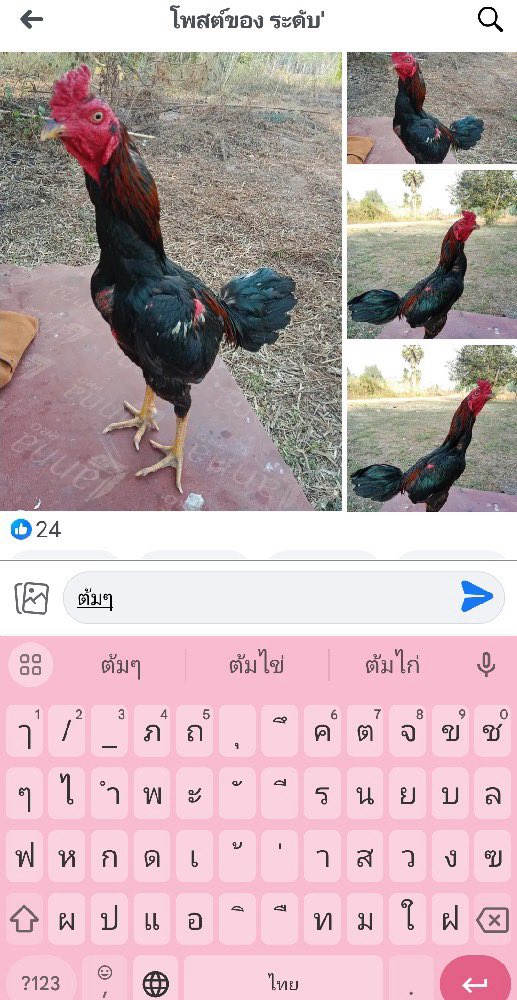 𝑎𝑟𝑖𝑐𝑛𝑒𝑛𝑒 * ( 𝑳𝒂𝒕𝒆 𝒓𝒆𝒑𝒍𝒚 ) 🪬 tweet media