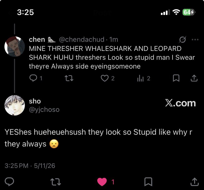 chen 🦭 tweet media