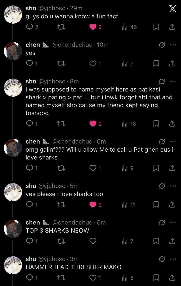 chen 🦭 tweet media