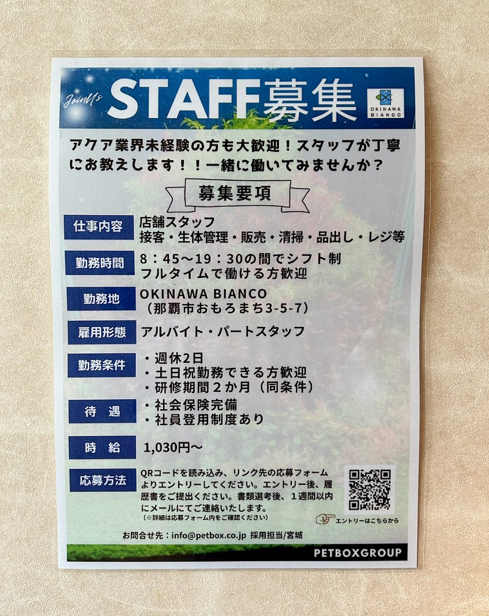 okinawa_bianco's tweet photo. 【スタッフ募集のお知らせ】
かな〜り久々！沖縄ビアンコのスタッフ募集です📣(´□｀* )ノ

募集要項は画像の方から👇👇👇
スタッフ募集するのいつぶりかしら…🤔というくらい滅多に募集しません！
アクアリウムショップ勤務に興味のある方、ご応募お待ちしております(⋆ᴗ͈ˬᴗ͈)” https://t.co/T5MMg5FKnN