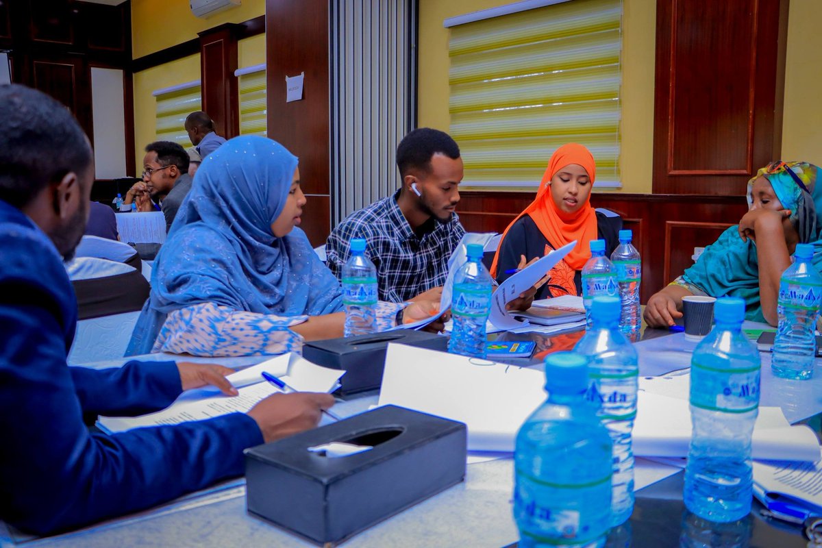 Somaliland Y-PEER tweet media