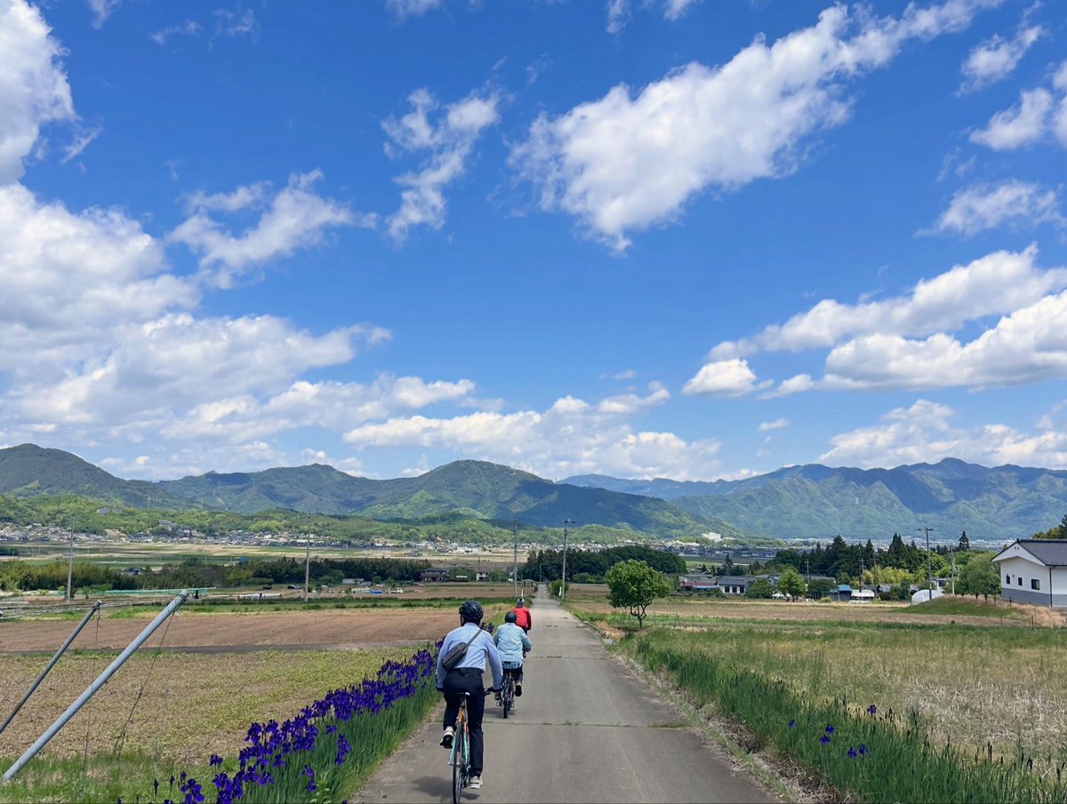 ELScoltd's tweet photo. 塩田の西前山、独鈷山の麓の「あやめ街道」。
今年も見頃が近づいてきましたよ😉

立ち並んだお花の背景に見下ろす街の風景も、見上げる地域の山もどっちも綺麗！

#塩田平
#上田市 
#あやめ街道 https://t.co/KHI7xXvB94