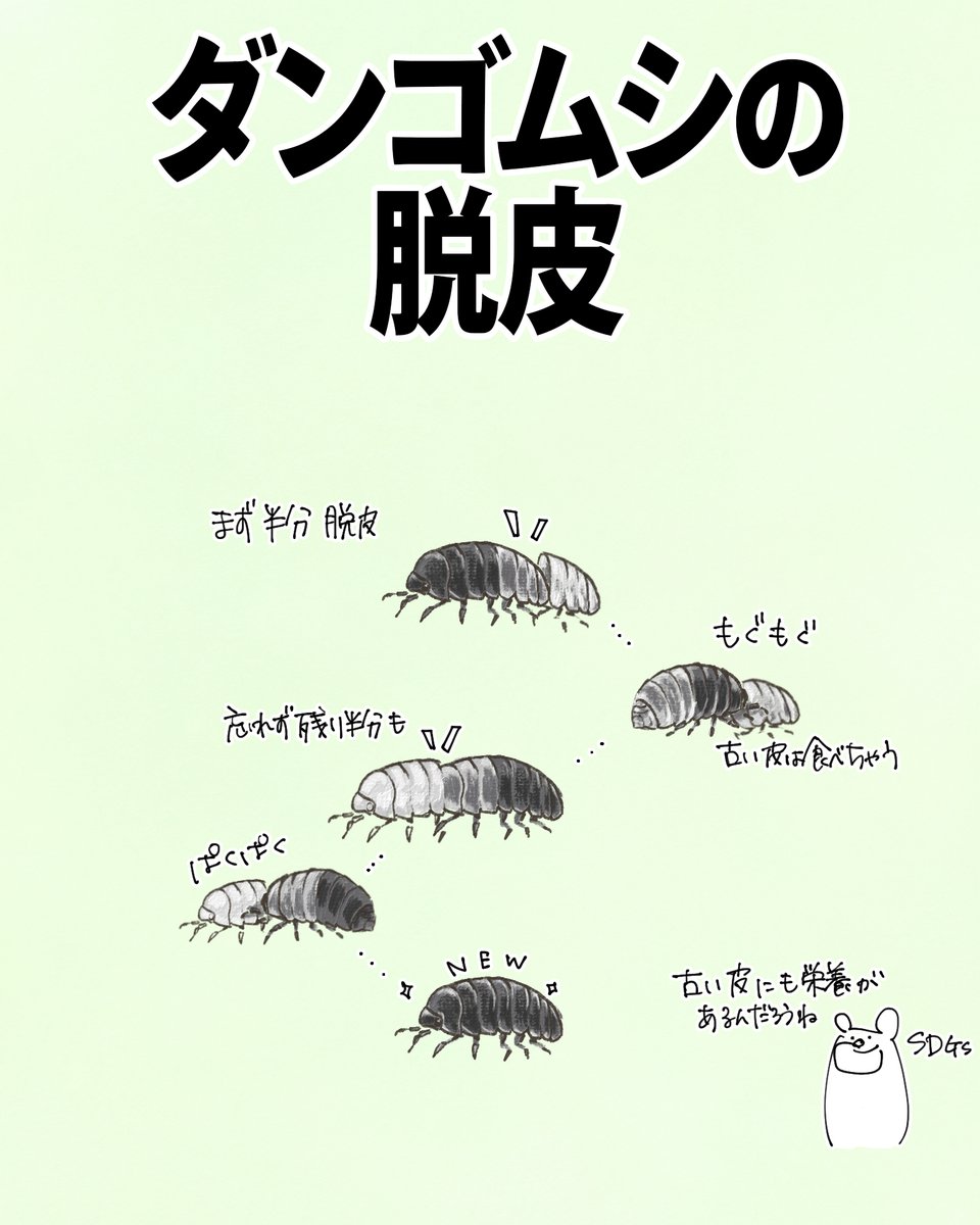 自然ガイドのネタ帳 tweet media