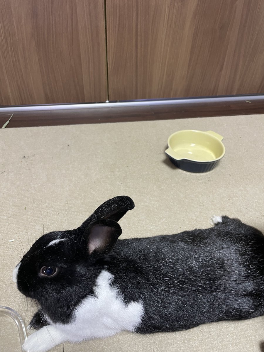 完食