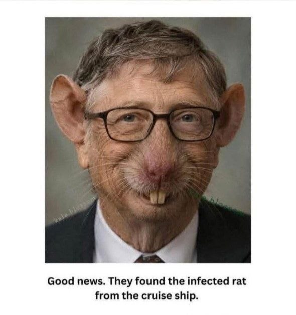 Miss_Royal73's tweet photo. 🐀Goed nieuws! Ze hebben de besmette rat op de #MVhondius gevonden. 😎 #Hantavirus https://t.co/ZG1akyYjXM