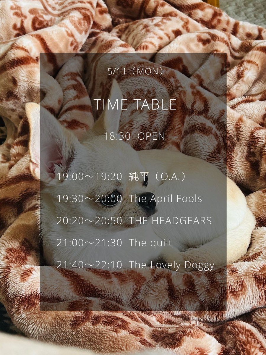 The_quilt's tweet photo. 【today's live!!】5/11㈪池袋Adm
The Lovely Doggy pre.
「この星の人たちに伝えたいこと」

The quilt
The Lovely Doggy
THE HEADGEARS
The April Fools
純平(O.A)

START19:00　前売¥2500+1D
（学割¥1500+1D）
21:00〜🔥

この星の人たち集まれ！ https://t.co/fCnzF2W4kJ