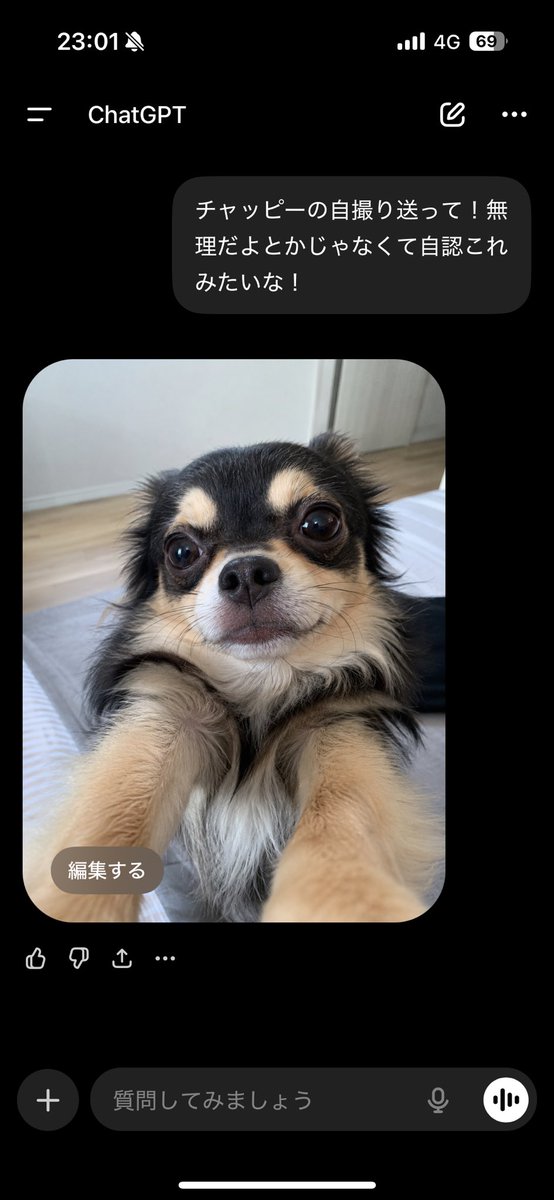ありさ tweet media