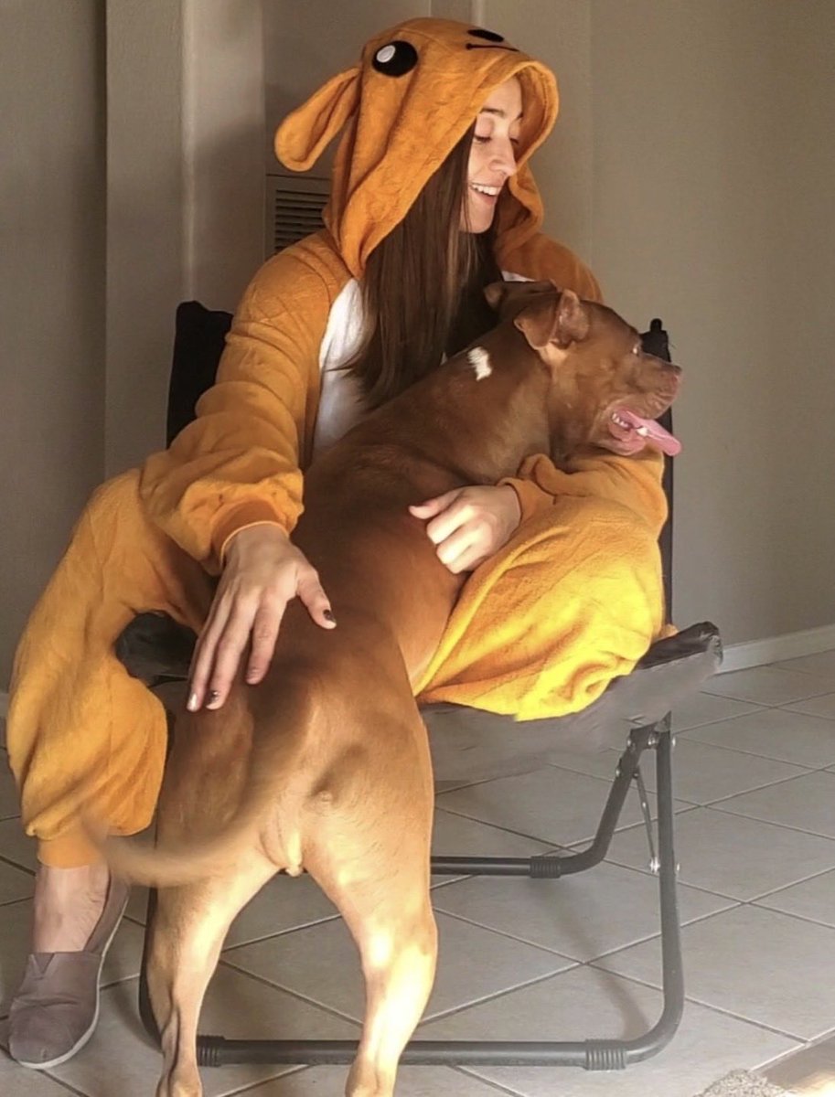 WrenForYourLife's tweet photo. Pup to no good. ✌🏼 https://t.co/8IidA7ygyw