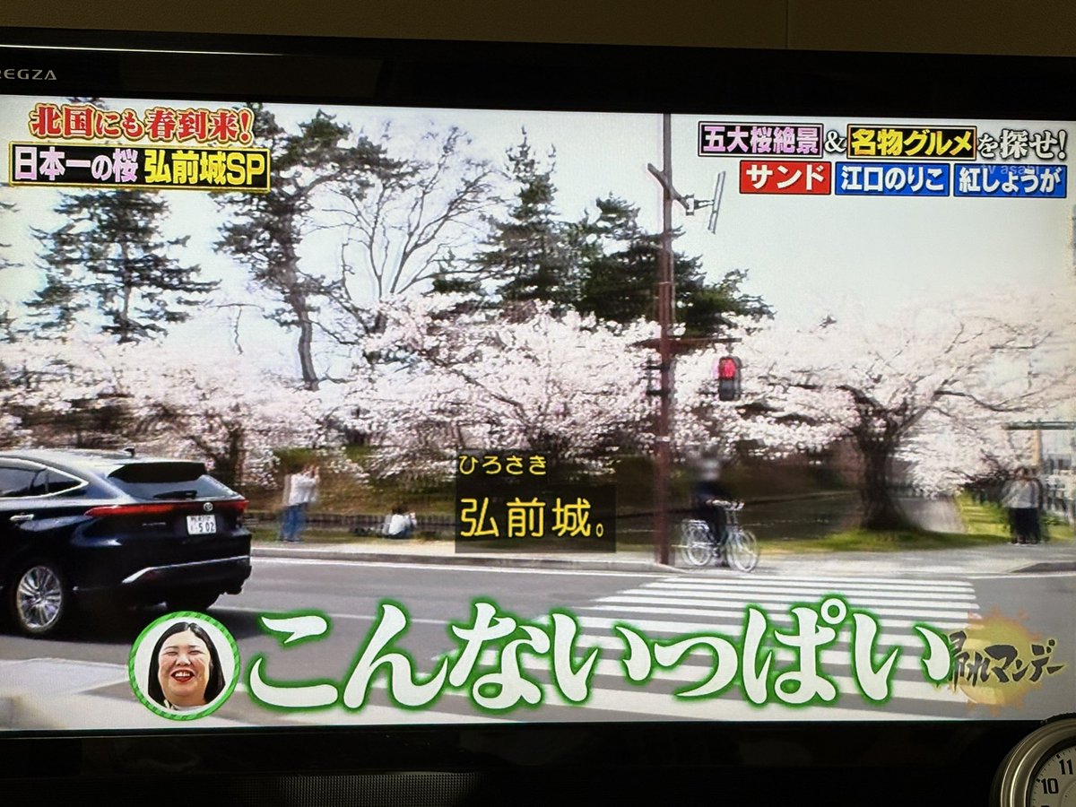 タンパク(優しくなりたい) tweet media