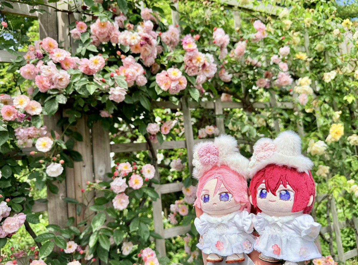 くもこ(ぬい活用) tweet media