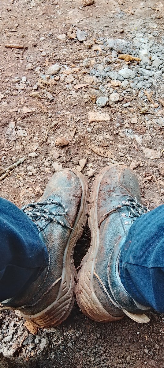 Mwangi🇰🇪 tweet media