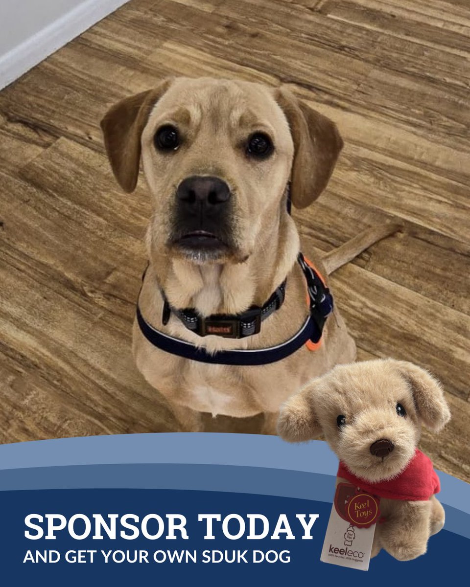 ServiceDogsUK tweet media