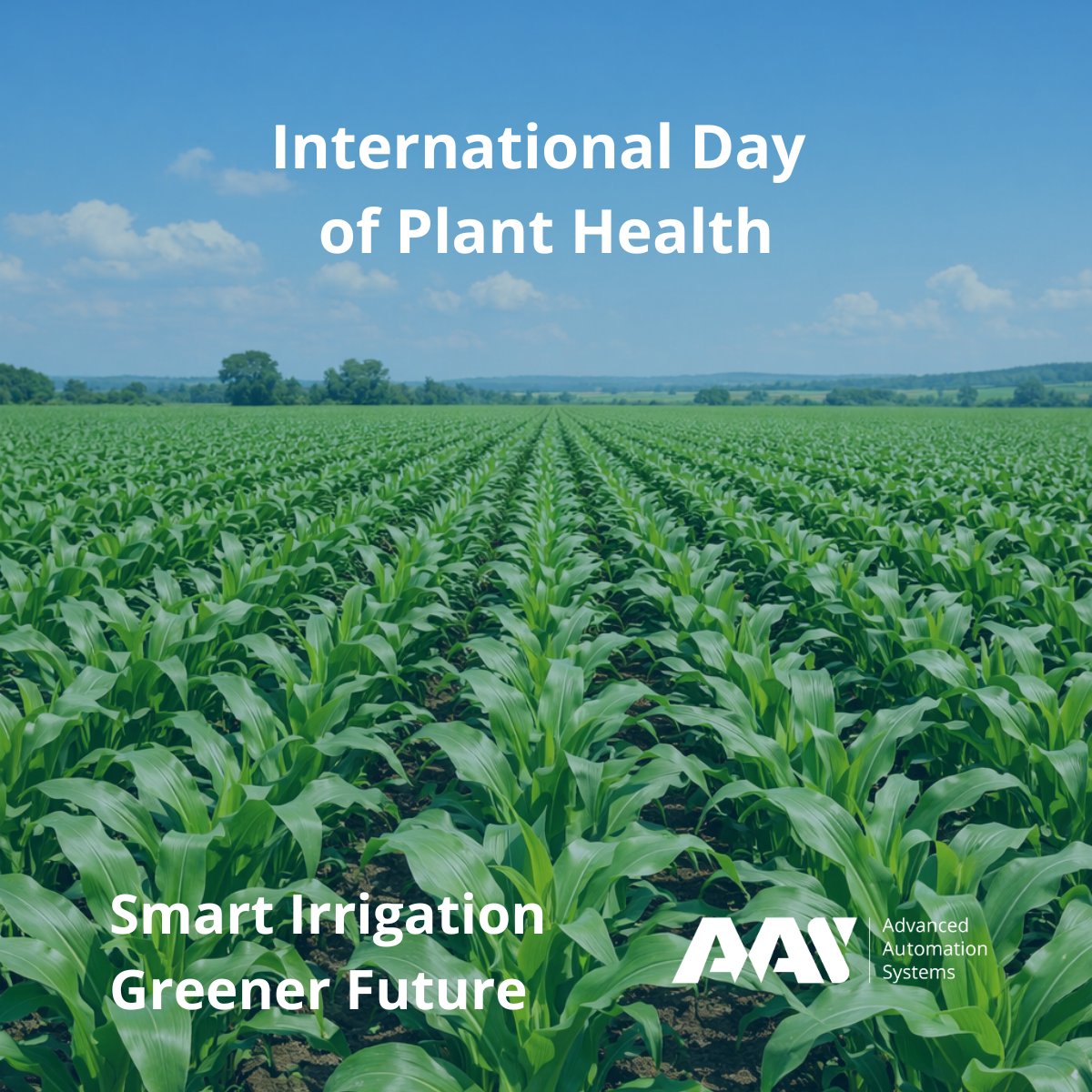 aasystemseu's tweet photo. International Day of Plant Health

Healthy plants →healthy food →healthy planet

https://t.co/galvYiRyRH 

Smart Irrigation Greener Future

#AAS #InternationalDayOfPlantHealth #PlantHealth #SustainableAgriculture #DripIrrigation #FoodSecurity #ClimateResilience #AgTech https://t.co/kQcUQHrqiU