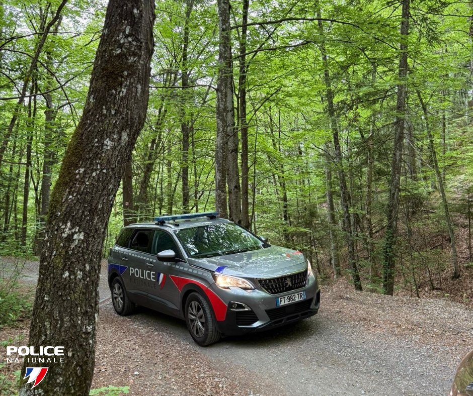 PoliceNat05's tweet photo. #LundiMotivation | Nouveau lundi, nouveau chemin mais une même détermination = votre sécurité 🌲 https://t.co/Dhhw96FhAt